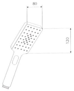 Душевая лейка Paini Ravenna RVCR155 хром